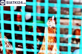 Siatki Szprotawa - Siatka na woliery - zabezpieczenia ptaków w hodowli dla terenów Szprotawy